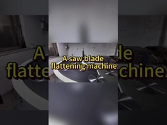 Foshan Fabrikası Tam Üretim Hattı Endüstriyel Daire Çakmak